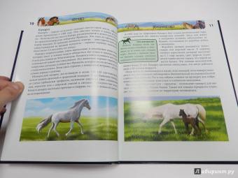 Леся Калугина: Хочу знать. Лошади