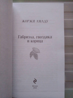 Жоржи Амаду: Габриэла, гвоздика и корица
