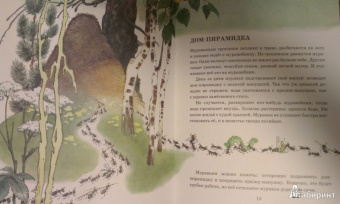 Анатолий Тумбасов: Телеграмма