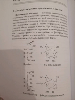 Осипова, Шустов: Биоорганическая химия