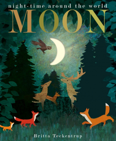 Patricia Hegarty: Moon