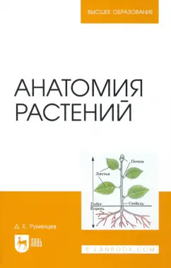 Денис Румянцев: Анатомия растений. Учебное пособие