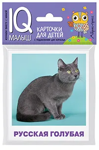 Малунова М. В.: Умный малыш. Породы кошек Набор карточек для детей.