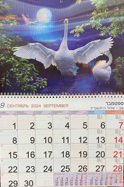 Календарь Стерео на 2025-2026 год: Лебеди