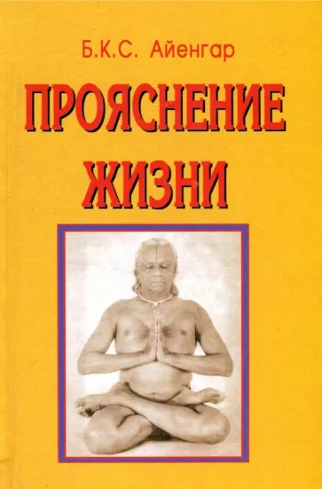Айенгар Беллур Кришнамачар Сундараджа: Прояснение жизни