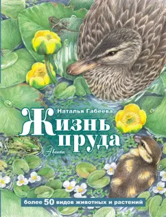 Наталья Габеева: Жизнь пруда