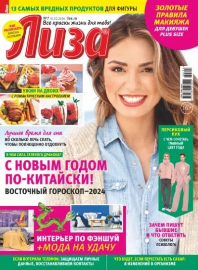 Журнал: Лиза
