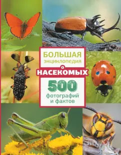 Анна Спектор: Большая энциклопедия о насекомых. 500 фотографий и фактов
