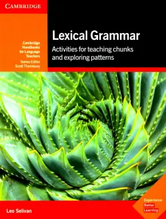 Leo Selvian: Lexical Grammar