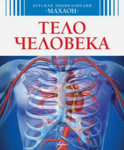 Буэ, Симон: Тело человека