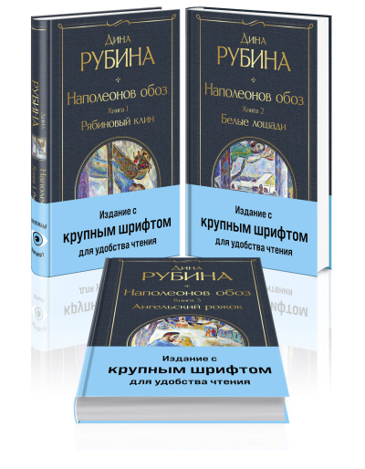 Рубина Дина Ильинична: Комплект из 3-х книг Дины Рубиной "Наполеонов обоз"