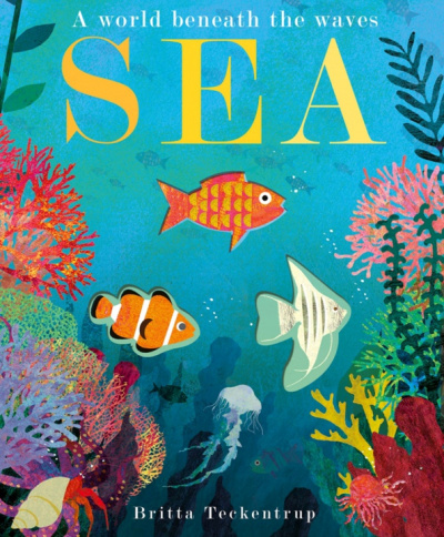 Patricia Hegarty: Sea. A World Beneath the Waves