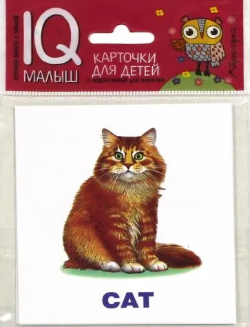 : Умный малыш. ENGLISH. Домашние питомцы. Набор карточек для детей.