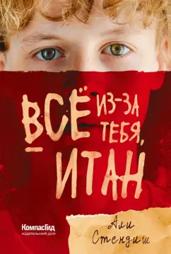 Али Стендиш: Всё из-за тебя, Итан