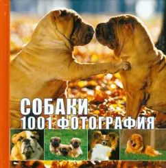 Собаки. 1001 фотография