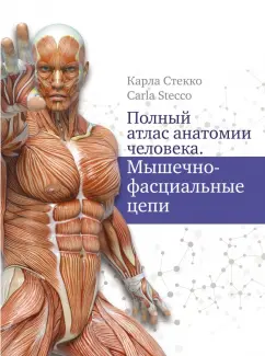 Карла Стекко: Полный атлас анатомии человека. Мышечно-фасциальные цепи