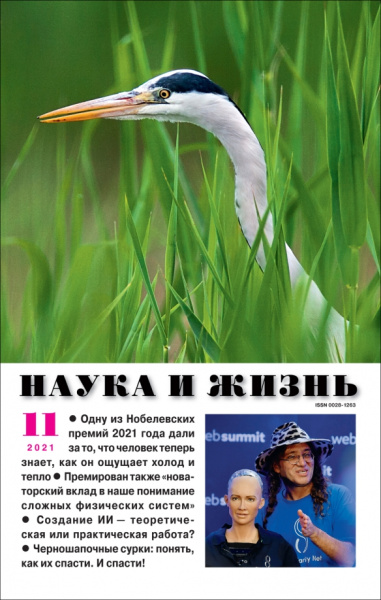Журнал Наука и жизнь. 2021. № 11