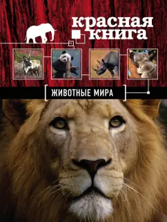 Скалдина, Слиж: Красная книга. Животные мира