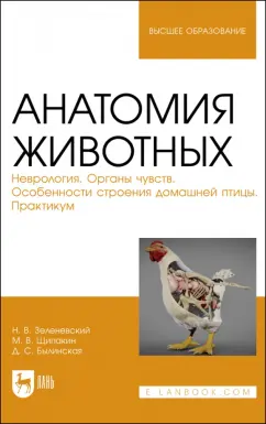 Зеленевский, Щипакин, Былинская: Анатомия животных. Неврология. Особенности строения домашней птицы. Практикум