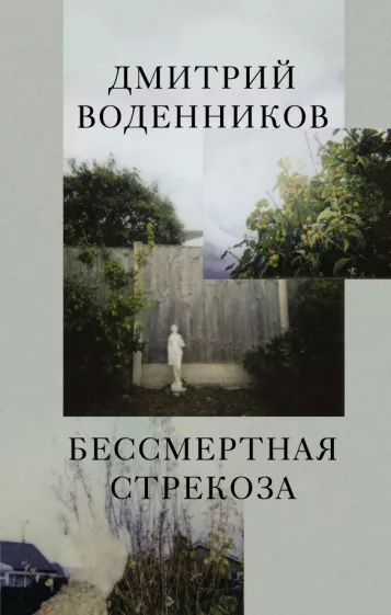Дмитрий Воденников: Бессмертная стрекоза