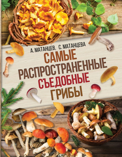 Матанцева, Матанцев: Самые распространенные съедобные грибы
