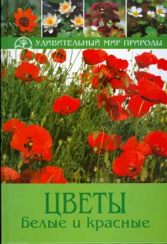 Бруно Кремер: Цветы белые и красные
