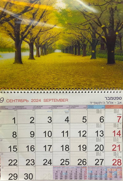 Календарь Стерео на 2025-2026 год: Желтая осень