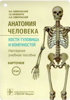 Гайворонский, Гайворонский, Ничипорук: Анатомия человека. Кости туловища и конечностей. Карточки