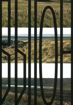 Эми Липтрот: Выгон