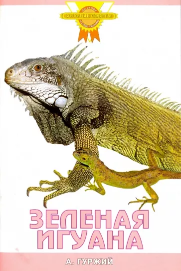 Александр Гуржий: Зеленая игуана