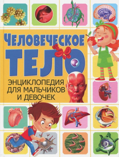 Человеческое тело. Энциклопедия для мальчиков и девочек