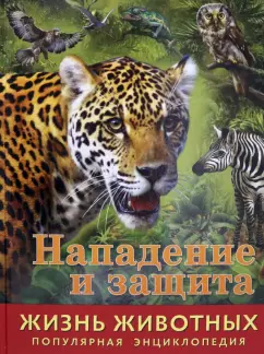 Илона Баголи: Жизнь животных. Нападение и защита