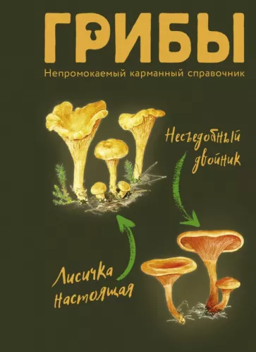 Мария Сергеева: Грибы. Непромокаемый карманный справочник