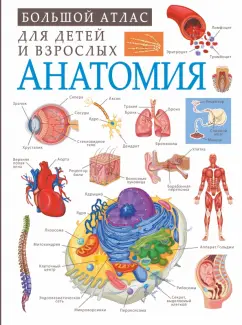 Анна Спектор: Анатомия