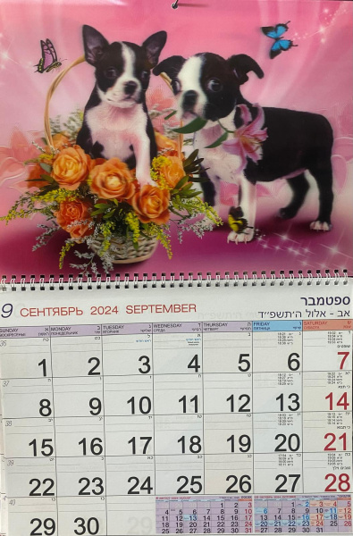 Календарь Стерео на 2025-2026 год: Собачки