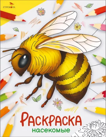 Окружающий мир. Раскраска. Насекомые