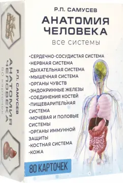 Рудольф Самусев: Анатомия человека. 80 карточек. Все системы