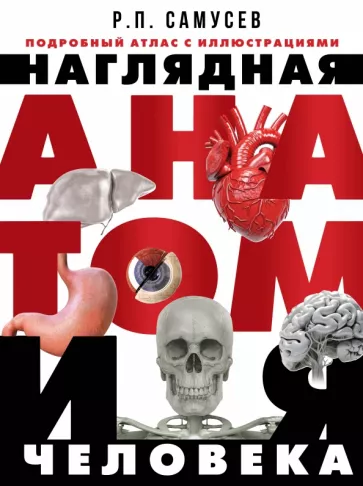 Рудольф Самусев: Наглядная анатомия человека. Подробный атлас