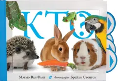 Флит Ван: Кто?