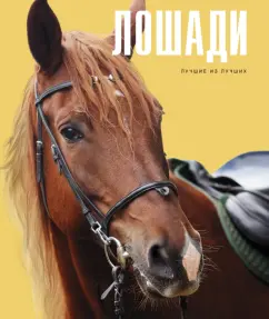 Онуфриенко, Кищук: Лошади