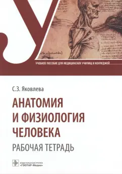 Светлана Яковлева: Анатомия и физиология человека. Рабочая тетрадь