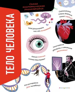 Анна Романо: Тело человека. Самая анатомическая энциклопедия