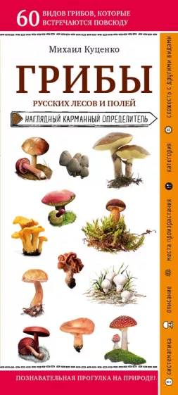 Михаил Куценко: Грибы русских лесов и полей. Наглядный карманный справочник