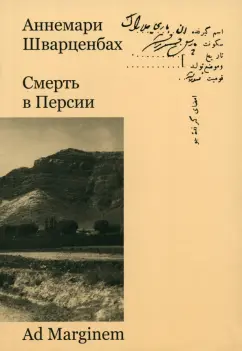 Аннемари Шварценбах: Смерть в Персии