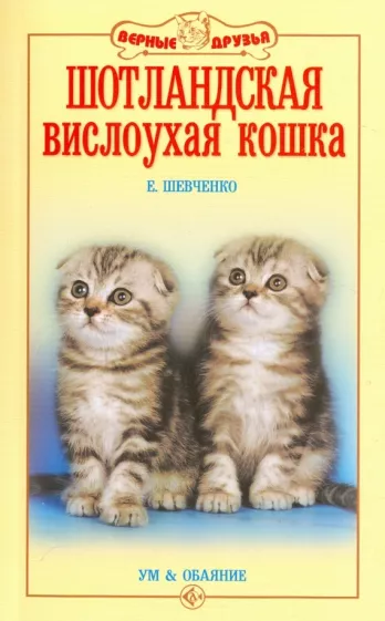 Елена Шевченко: Шотландская вислоухая кошка. Ум и обаяние