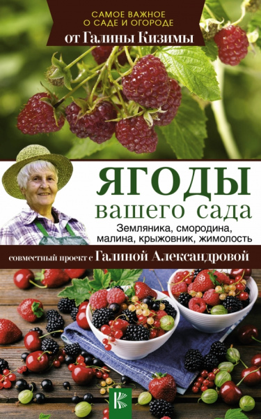 Кизима, Александрова: Ягоды вашего сада. Земляника, смородина, малина, крыжовник, жимолость