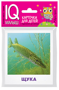 Малунова М.В.: Умный малыш. Пресноводные рыбы. Набор карточек для детей.