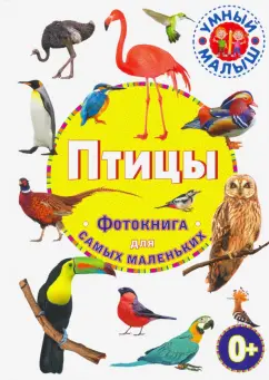Птицы. Фотокнига для самых маленьких