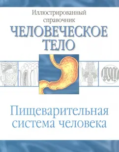 Пищеварительная система человека