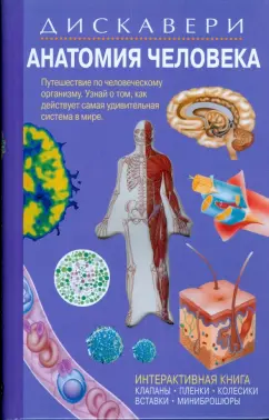 Грехам, Уолкер: Дискавери:  Анатомия человека